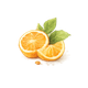 Bougie parfum orange pressée fraîche