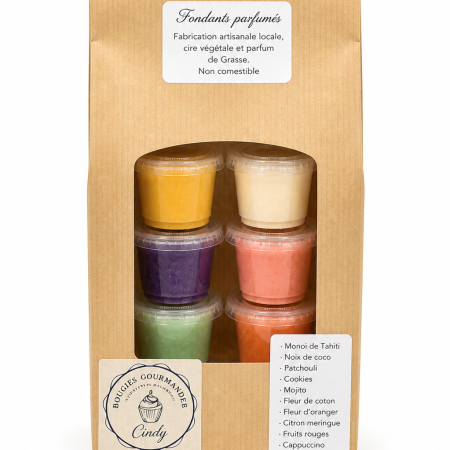 Coffret de 6 fondants parfumés artisanaux en cire végétale avec parfums de Grasse senteurs aléatoires pour parfumer la maison
